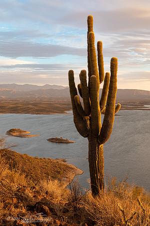 Lake Pleasant Regional Park, Arizona