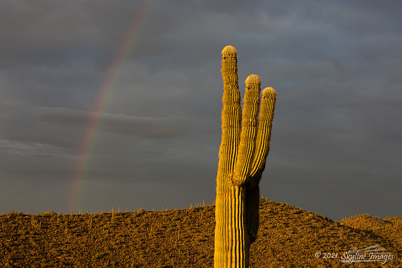 Lake Pleasant Regional Park, Arizona