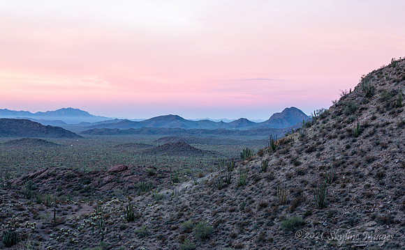 Organ Pipe Cactus National Monument