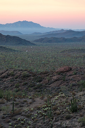 Organ Pipe Cactus National Monument