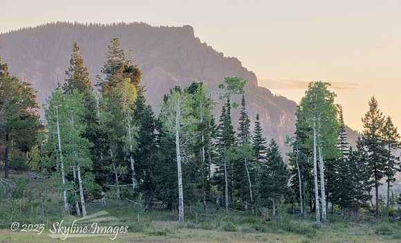 Fishlake National Forest, Utah