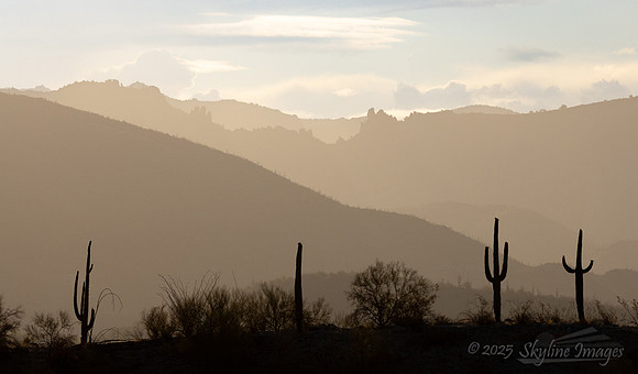 Tucson Arizona