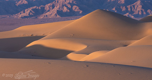 Mojave Desert California