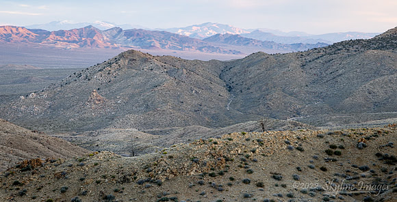 Mojave National Preserve