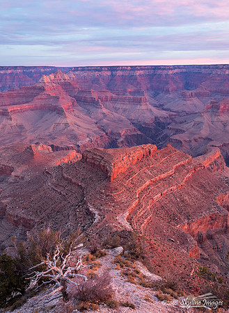 Grand Canyon National Park Arizona