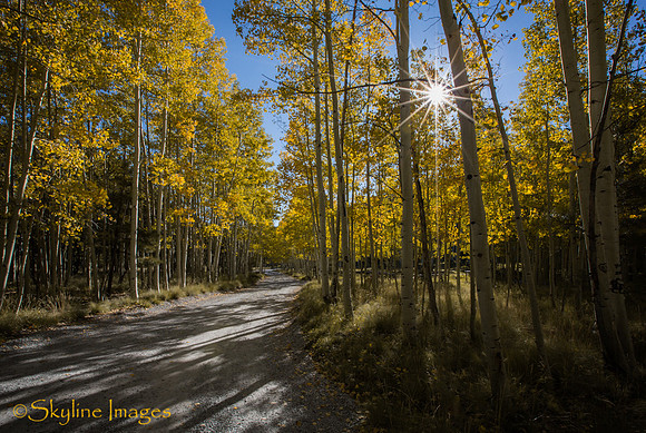 Lockett Meadow AZ