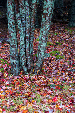 Little Hunters Beach area, Maine