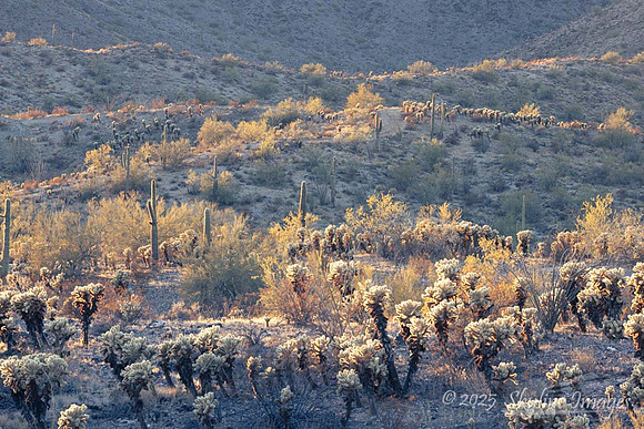 Harquahala Mountains Arizona