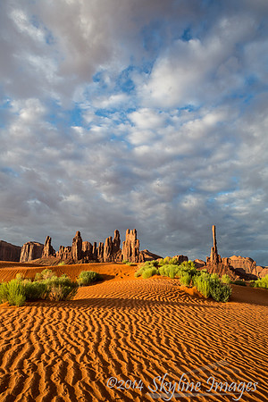Monument Valley Dunes, AZ