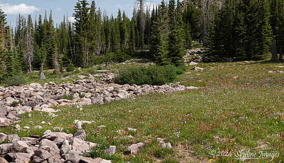 Uinta-Wasatch-Cache National Forest Utah