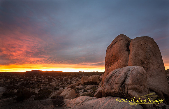 Sunset, Joshua Tree National Park