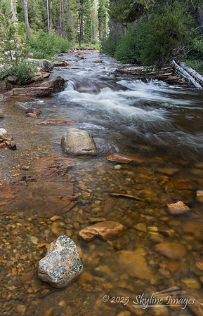 Uinta-Wasatch-Cache National Forest, Utah