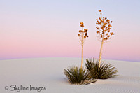 White Sands, NM.
