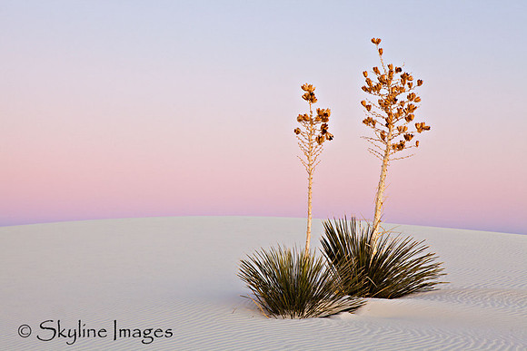 White Sands, NM.