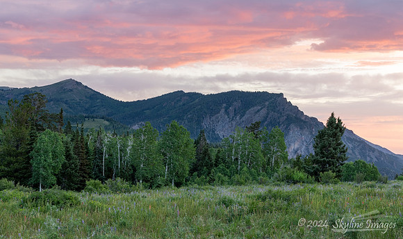 Fish Lake National Forest Utah