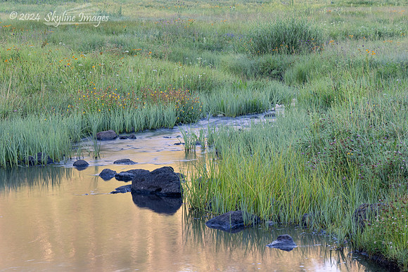 Apache National Forest, Arizona