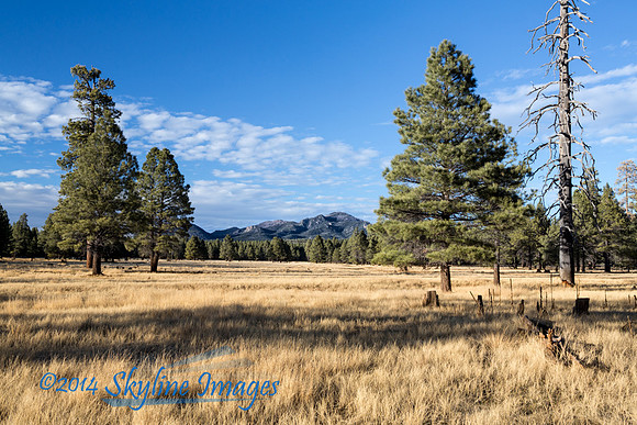 Bill Williams Loop Road, AZ