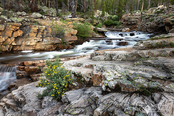 Upper Provo River Utah