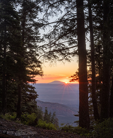 Kaibab National Forest Arizona
