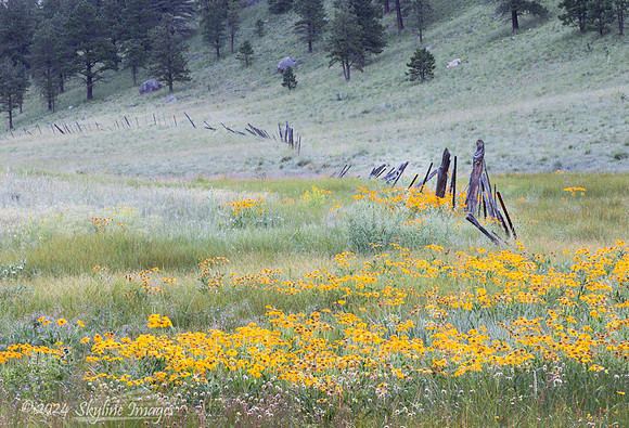 Apache National Forest, Arizona