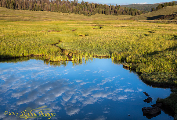 Burro Creek, White Mountains AZ