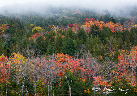 Bubble Pond, Maine