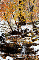 Workman Creek  3