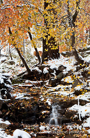 Workman Creek  3