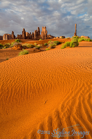 Monument Valley Dunes, AZ